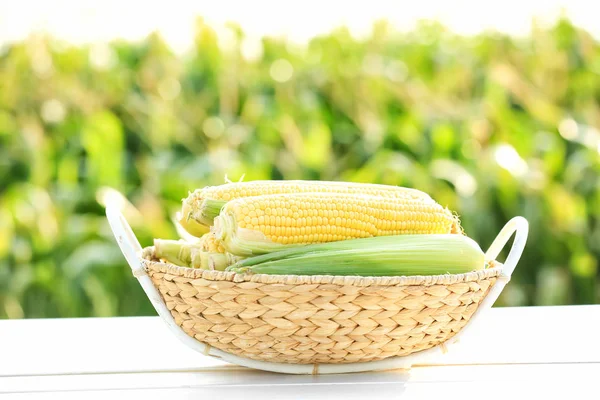 Basket with corn cobs on table in field — Stock Photo, Image