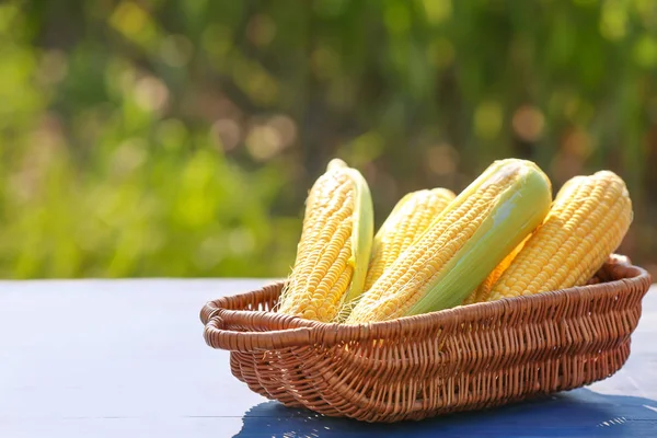 Basket with fresh corn cobs on table outdoors — Stock Photo, Image