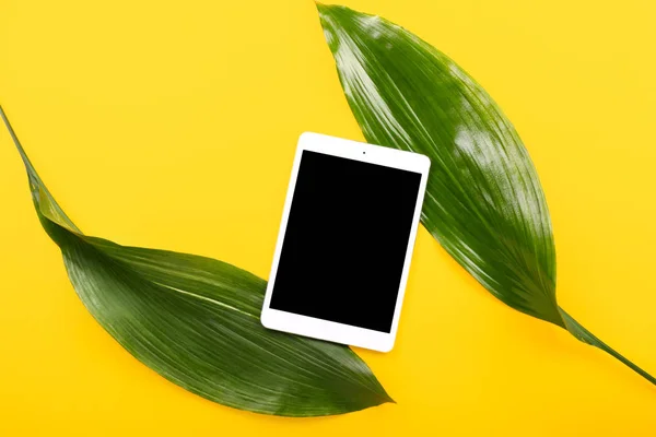 Modern tablet computer with tropical leaves on color background — Stock Photo, Image