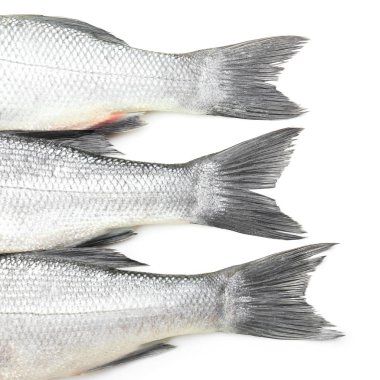 Beyaz arka planda taze levrek balığı