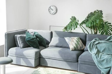 Kanepesi ve çiçekleri olan modern bir oda.