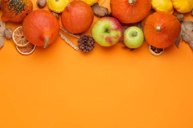 Renk arka planda kabaklar ile Sonbahar kompozisyon