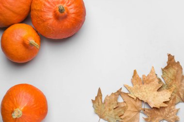 Beyaz arka planda kabaklar ile Sonbahar kompozisyon