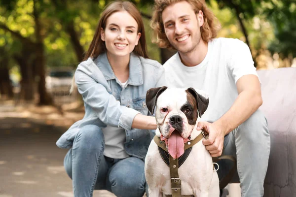 Jovem casal com cão bonito no parque — Fotografia de Stock