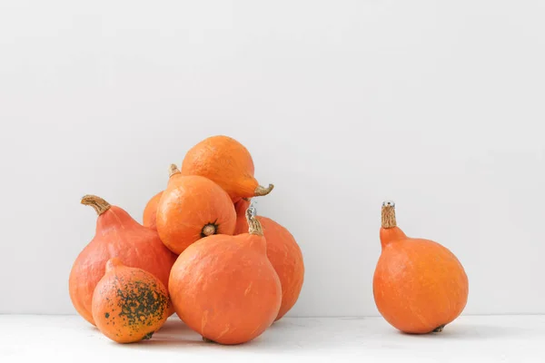 Calabazas frescas sobre fondo blanco —  Fotos de Stock