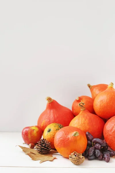 Autumn composition with pumpkins on white background — Stock Photo, Image