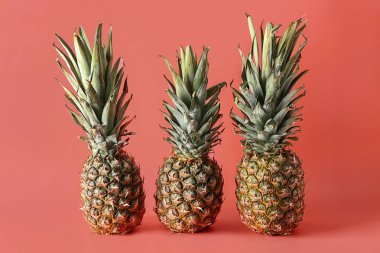 Mercan arka planda olgun ananas