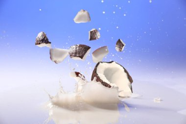 Süte düşen hindistan cevizini kesin