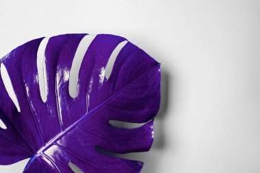 Açık arka planda ultraviyole tropikal yaprak