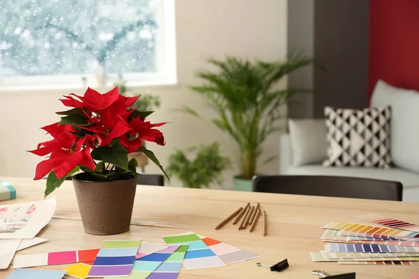 Beautiful Poinsettia in pot on wooden table at home — Stock Photo, Image