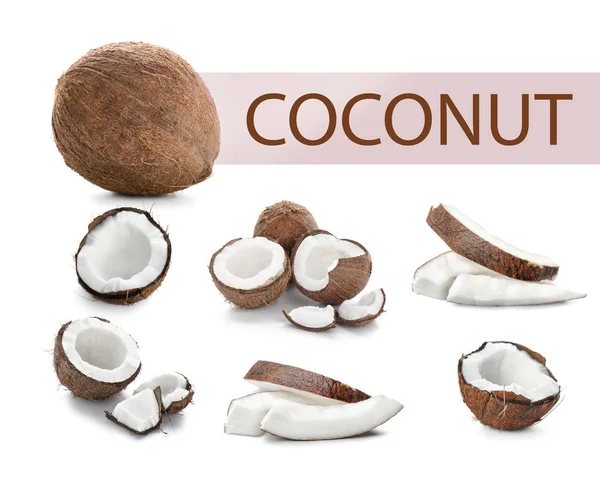 Sada zralých kokosových ořechů na bílém pozadí — Stock fotografie