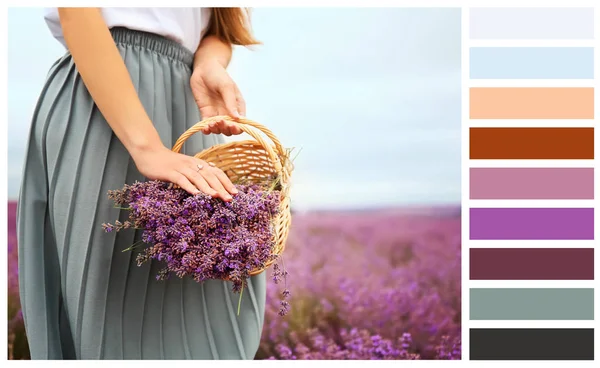 Color palette with beautiful young woman holding wicker basket in lavender field on summer day