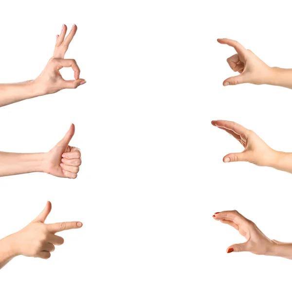 Gestura de mãos femininas no fundo branco — Fotografia de Stock