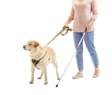 Beyaz arka plan üzerinde rehber köpek ile genç kör kadın