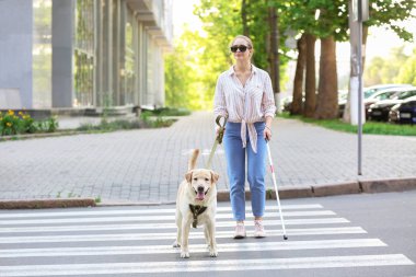 Yol köpek geçiş ile Kör kadın