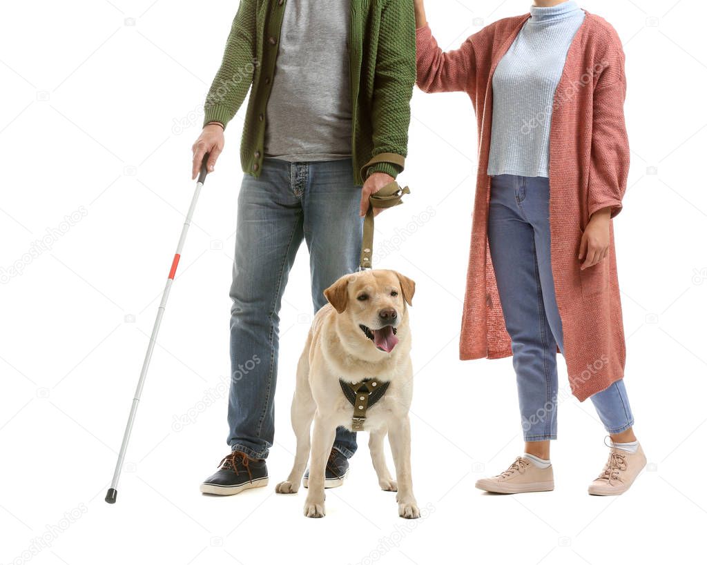 Blind mature man with daughter and guide dog on white background