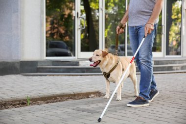 Rehber köpek açık havada kör olgun adam