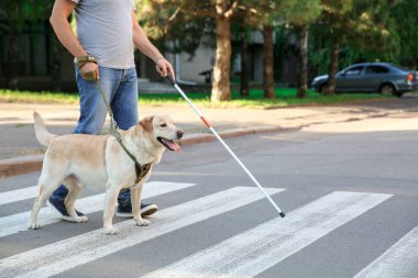 Yol köpek geçiş ile Kör olgun adam