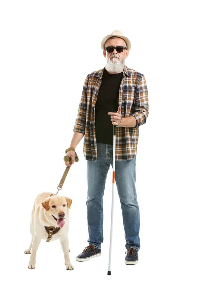 Ciego hombre maduro con perro guía sobre fondo blanco — Foto de Stock