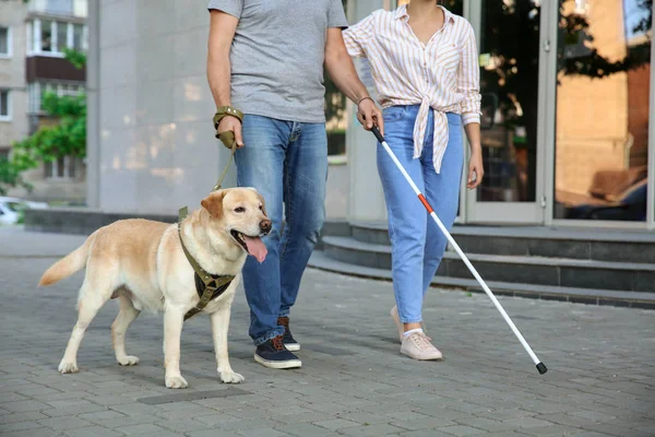 Blind mature man with his daughter and guide dog outdoors