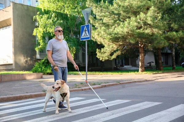Nevidomý dospělý muž s naváděním psem — Stock fotografie
