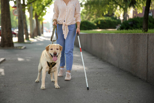 Young blind woman with guide dog outdoors