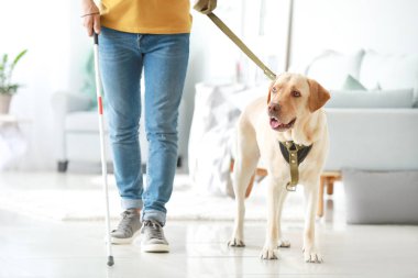 Evde rehber köpek ile Kör genç adam