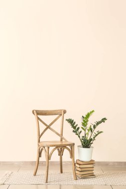 Sandalye, kitap yığını ve ışık duvara yakın houseplant