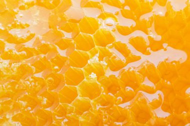 Arka plan olarak petek dokusu