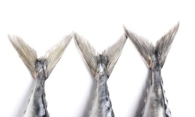 Beyaz arka planda çiğ uskumru balığı