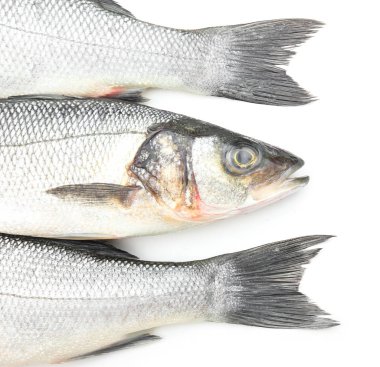 Beyaz arka planda taze levrek balığı