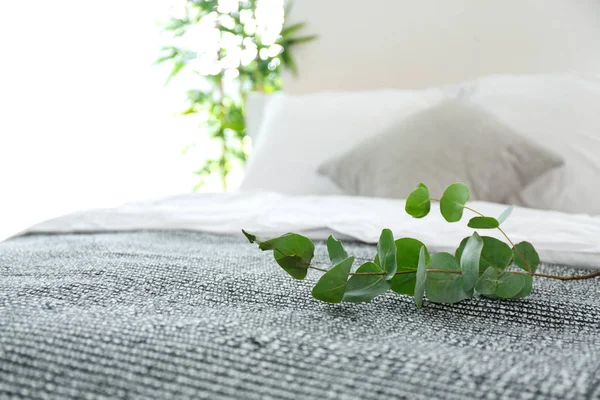 Green eucalyptus branches on bed — Stock Photo, Image