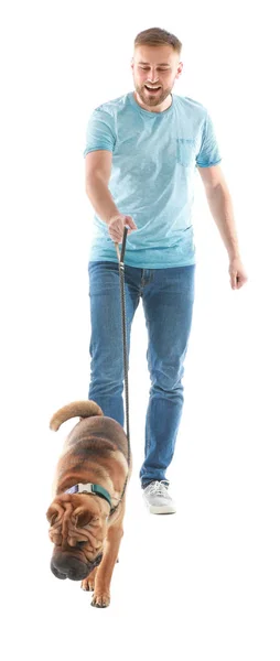 Caminhando homem com cão bonito no fundo branco — Fotografia de Stock