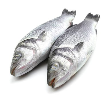 Beyaz arka planda taze levrek balığı