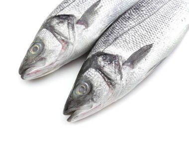 Beyaz arka planda taze levrek balığı