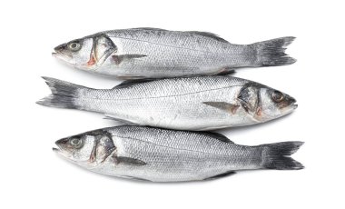 Beyaz arka planda taze levrek balığı