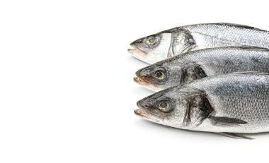 Beyaz arka planda taze levrek balığı
