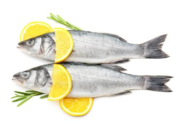 Beyaz arka planda biberiye ve limon ile taze levrek balık
