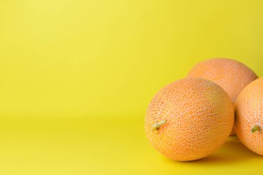 Renkli arka planda olgun kavunlar