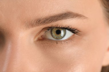 Güzel kaşları olan genç bir kadın, yakın plan.