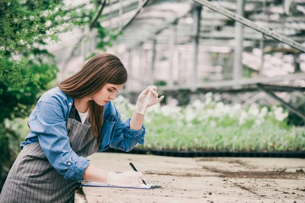 Female agricultural engineer working in greenhouse — Stock Photo, Image