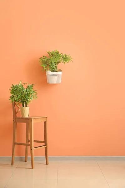 Interior of modern room with houseplants and chair — Stock Photo, Image