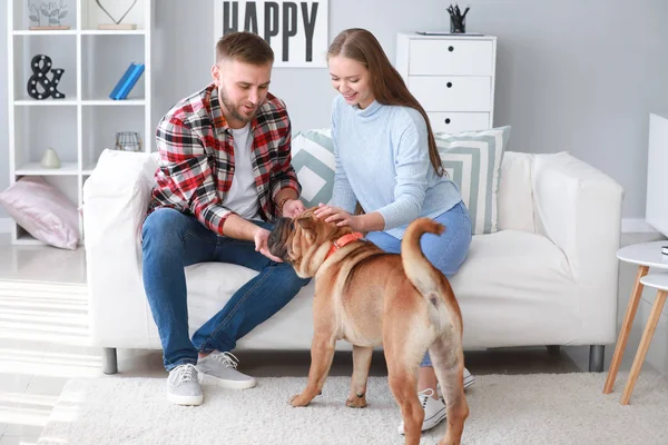 Happy couple playing with cute dog at home — Stock Photo, Image