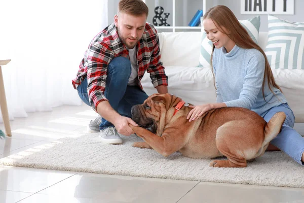 Casal feliz com cão bonito em casa — Fotografia de Stock