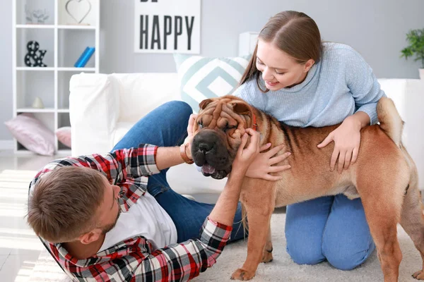 Coppia felice giocare con il cane carino a casa — Foto Stock