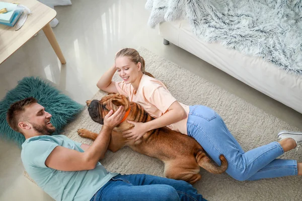 Pasangan bahagia dengan anjing lucu di rumah — Stok Foto