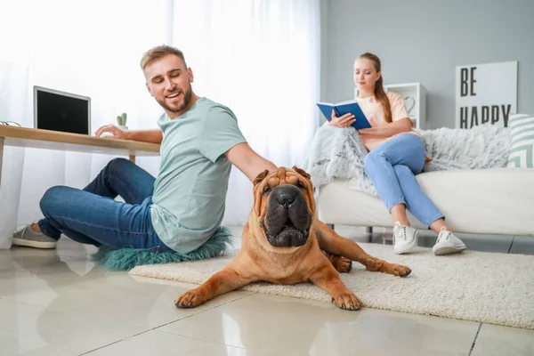 Cute Shar-Pei dog with owners at home — Stock Photo, Image