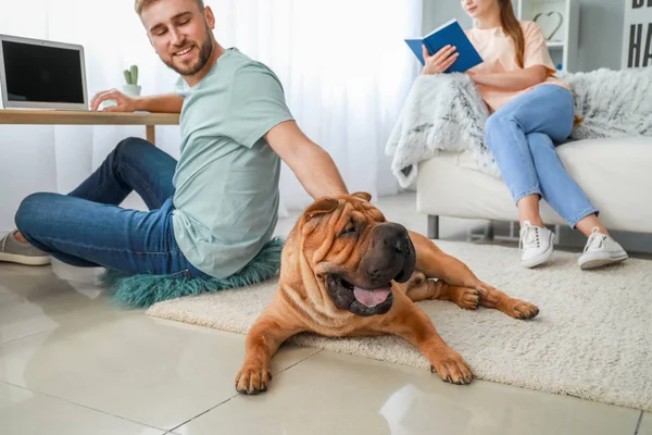 Cute Shar-Pei dog with owners at home — Stock Photo, Image