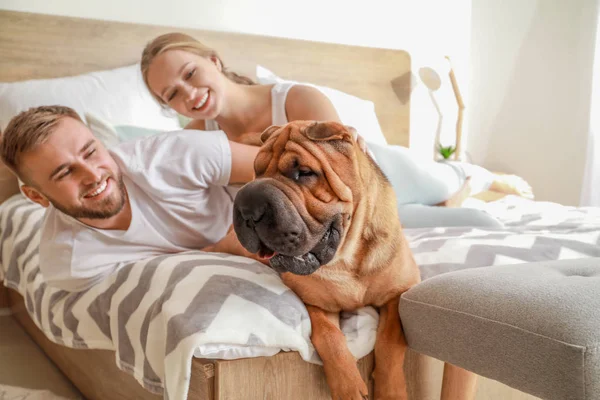 Happy couple with cute dog on bed at home — Stock Photo, Image