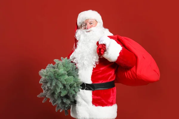 Santa Claus with fir tree and gifts on color background — Stock Photo, Image